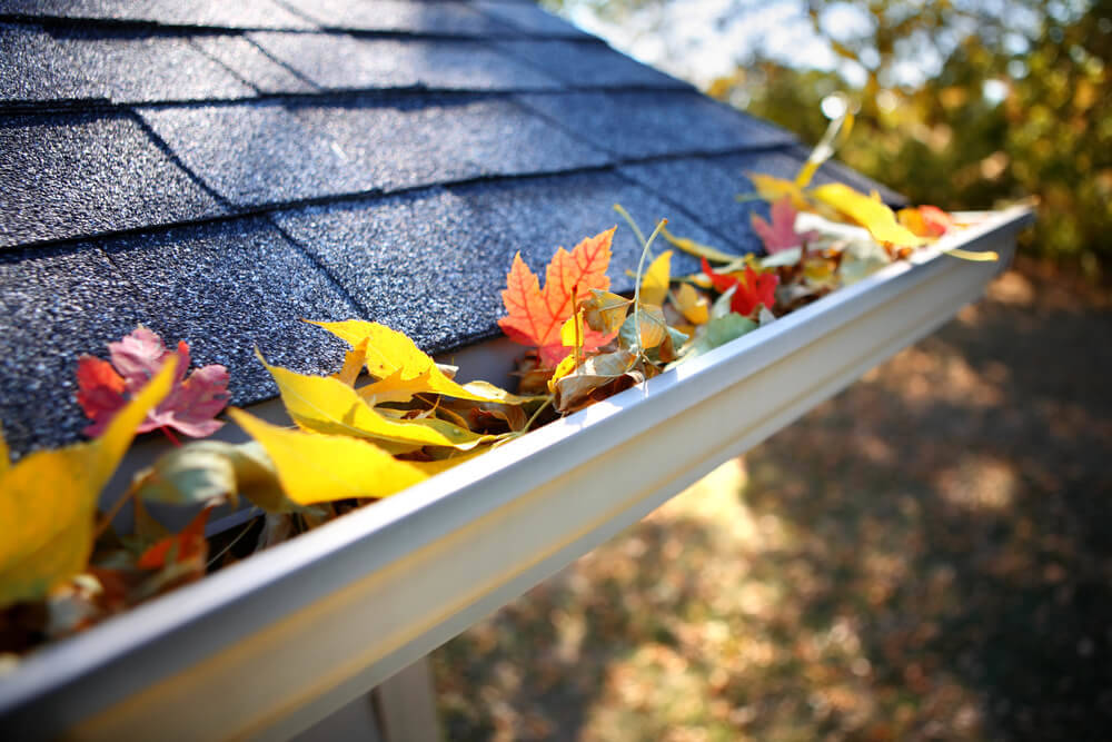 rain-gutters-for-wooden-shed