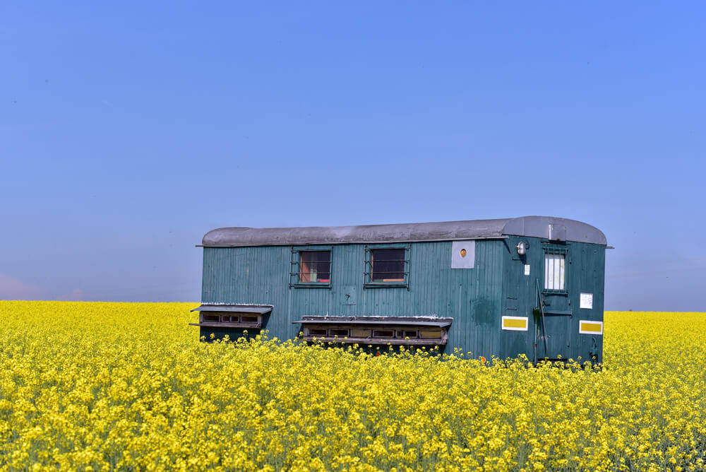 mobile-home-in-nature