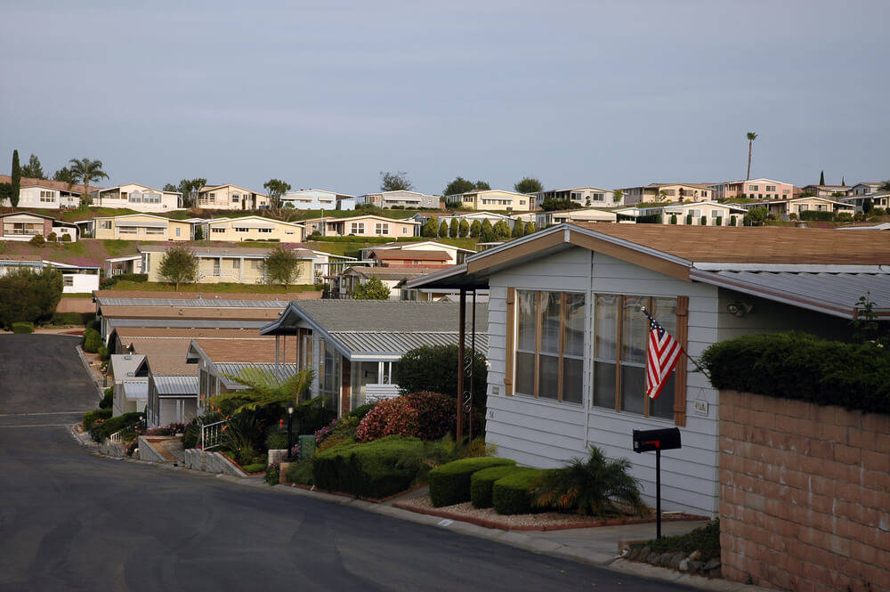 The Pros and Cons of Climbing Plants On Your Mobile Home