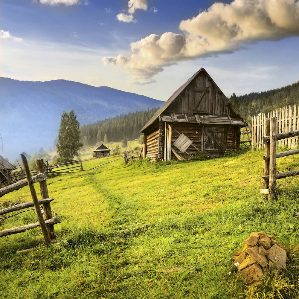 Things you Need to Know About Wooden Shed Protection from Moisture