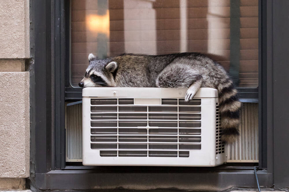 wooden-shed-window-air-conditioner