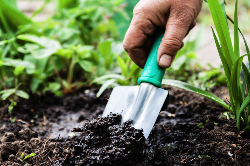 Trowel-garden-wooden-garage