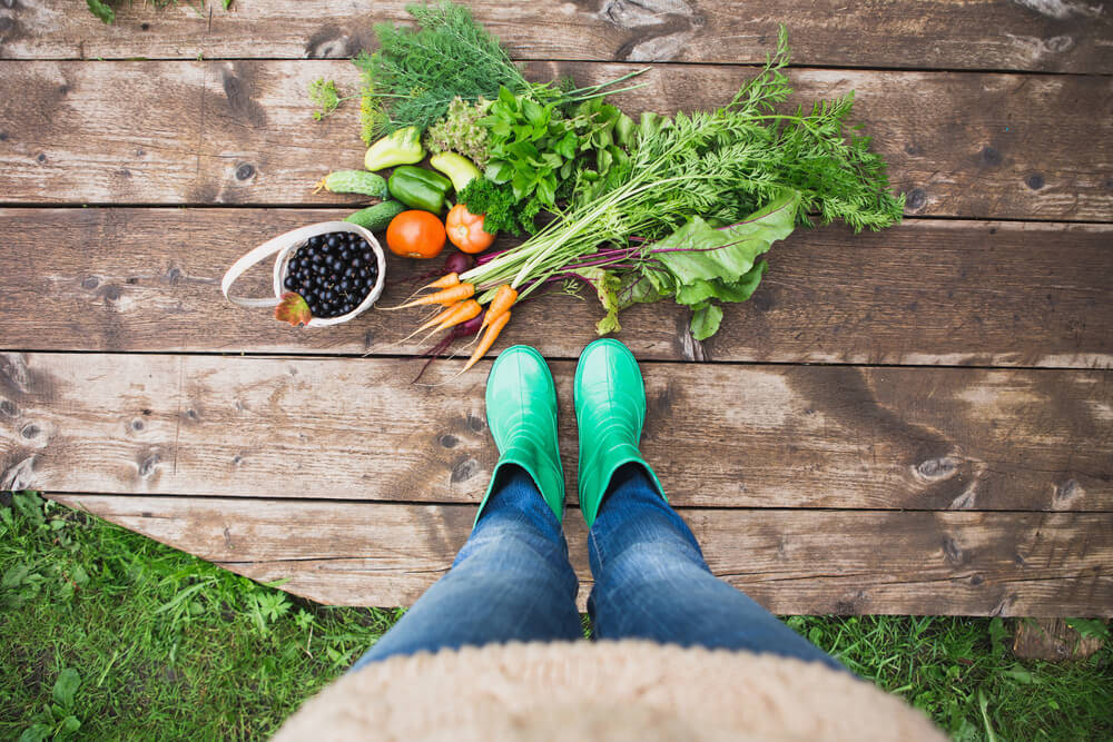 How to Grow Vegetables Faster in a Wooden Shed Garden