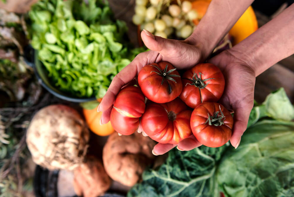 various-vegetables-mobile-home