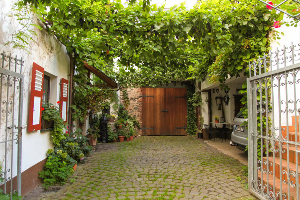 wooden-carport-vines