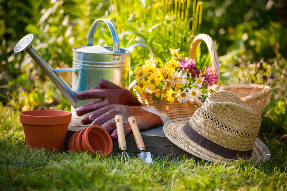 8 Garden Tools Every Gardener Needs in their Wooden Garage