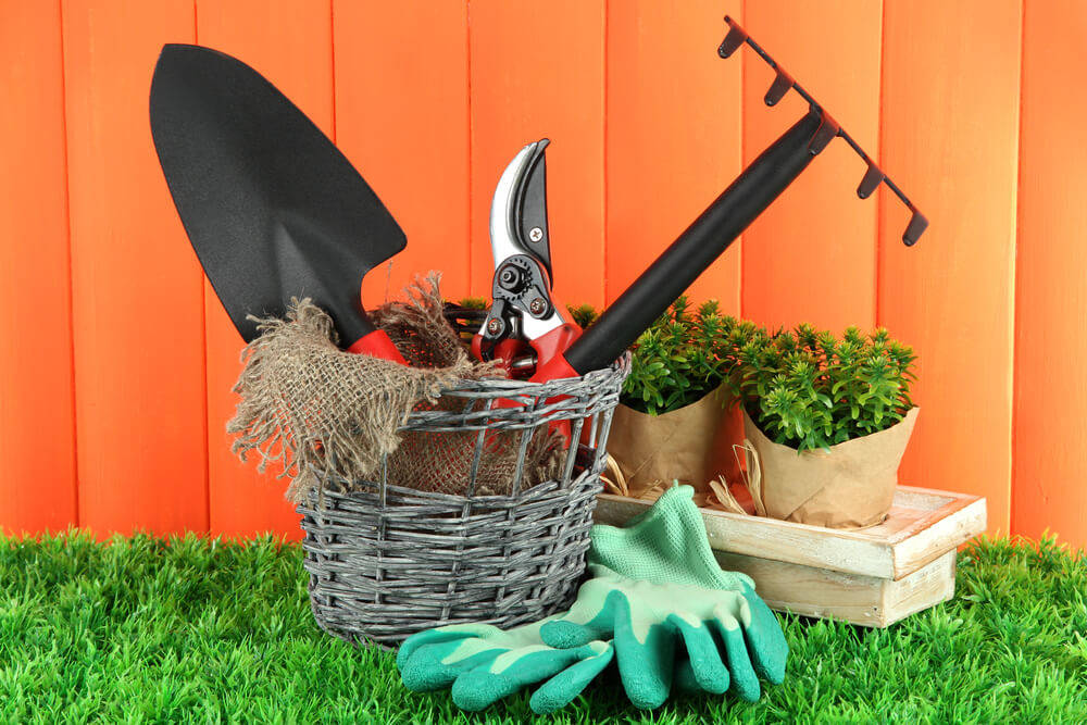 How to Prepare Your Wooden Shed for Garden Tool Storage in 5 Easy Steps