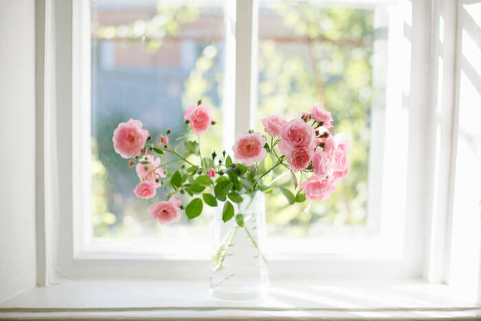 roses-vase-garden-plants