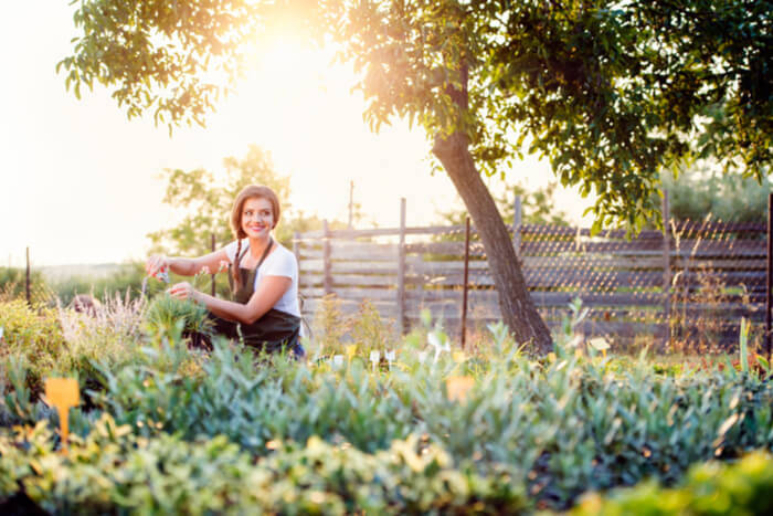 How to Become a Master Gardener