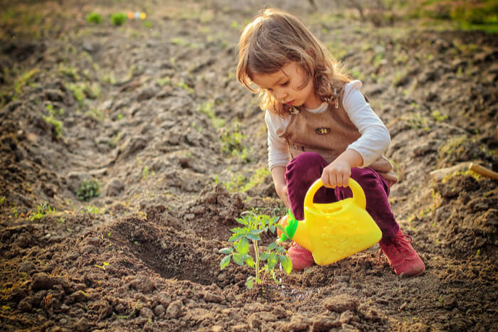 When to Plant a Garden