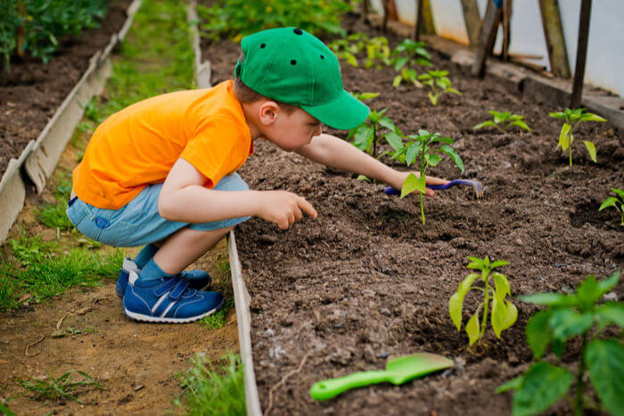 how to plant a garden