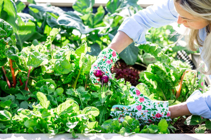 Biodynamic Gardening