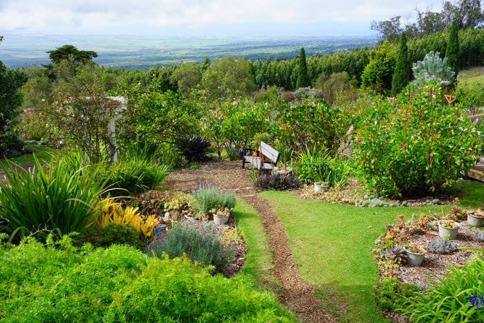 Gardening on a Slope: Tips and Tricks