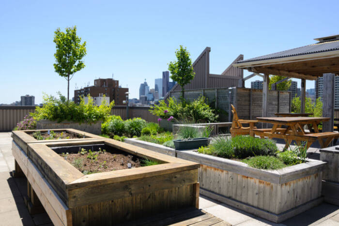 Raised garden bed soil