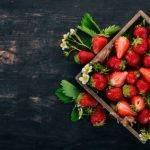 How to plant strawberries