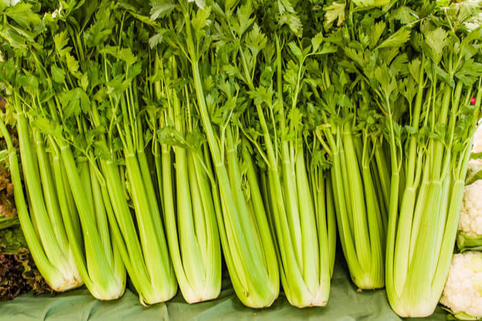 How to grow celery and what benefits it has