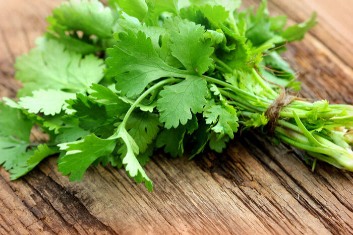 How to grow coriander