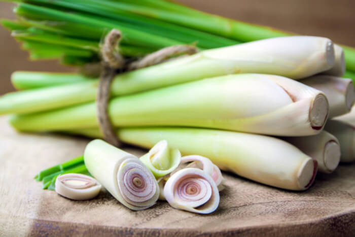 How To Plant And Take Care Of Lemongrass